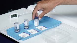 Argentina confirmó 6.653 nuevos contagios de coronavirus y 116 fallecimientos