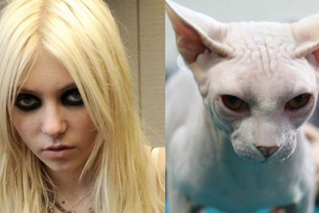 Personas, animales y objetos que son similares entre sí