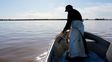 Un salmón apareció en el Paraná cerca de Rosario y su increíble viaje se convirtió en documental
