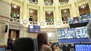 Aborto legal: ¿cómo votaron los senadores santafesinos?