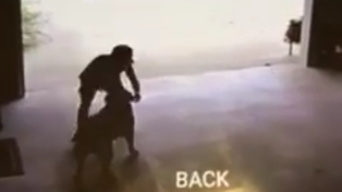 La tierna historia del niño que escapa de su casa cada mañana para abrazar al perro del vecino