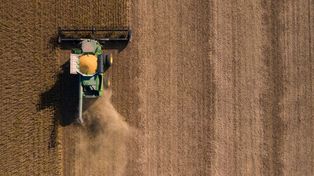 Alianzas para impulsar la agricultura sustentable y combatir el cambio climático