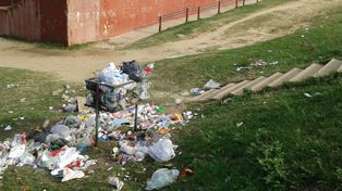 Una escuela de Alto Verde en estado de alerta y dieta fría por presencia de roedores