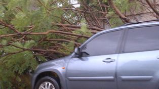Evacuados, anegamientos, árboles caídos y voladura de techos en toda la región
