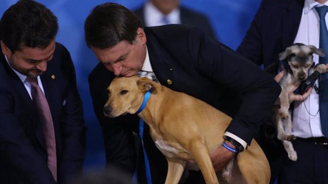 Bolsonaro firmó junto el perro&nbsp;