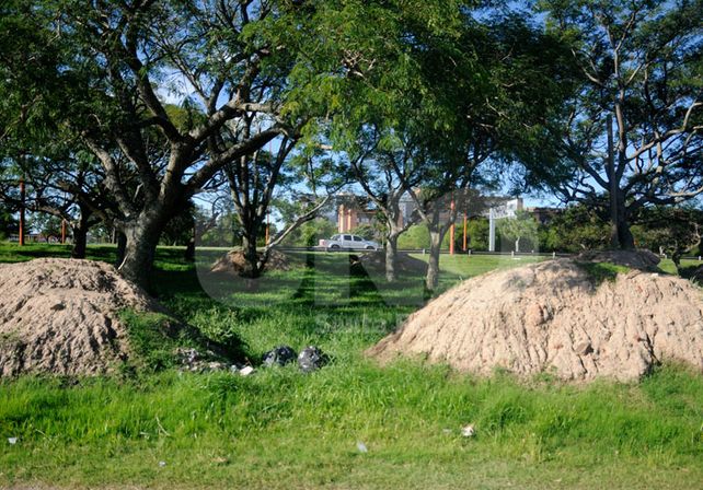 Comienza a tomar forma el traslado de los boliches a la zona de la Fuente de la Cordialidad