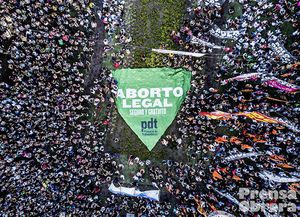 Fuerte rechazo a Michetti por enviar a cuatro comisiones el proyecto de interrupción voluntaria del embarazo