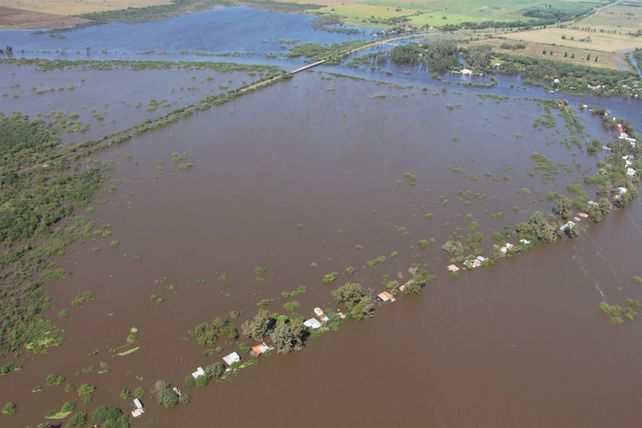 Crítico. Los cultivos de la campaña gruesa y la lechería son los sectores más afectados por el agua en Santa Fe.
