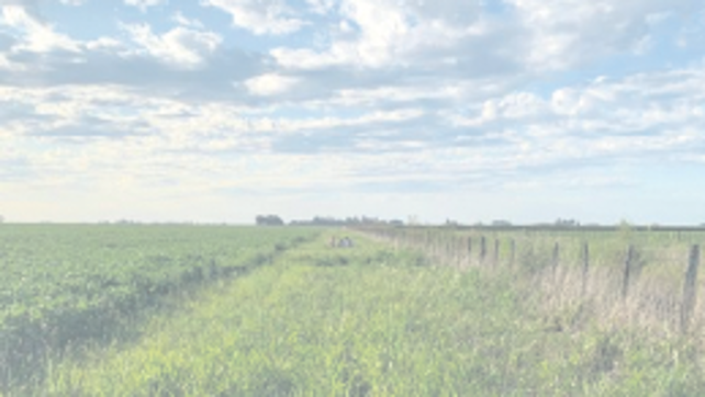 V&iacute;as vegetadas. Potencian biodiversidad en la regi&oacute;n pampeana.