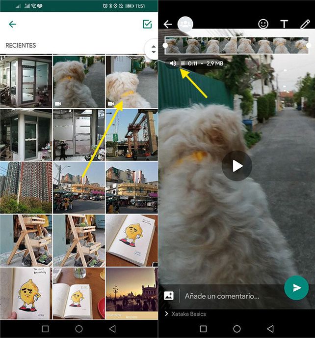Nueva función de WhatsApp: permitirá silenciar un video antes de enviarlo