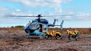 Brigadistas combatieron incendios en las Islas del Delta