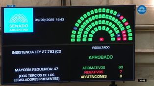 Senado: rechazaron el veto de Milei y se reactivó la ley de emergencia en discapacidad