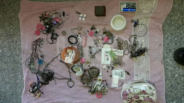 Robó joyas y las escondió en un chiquero de chanchos