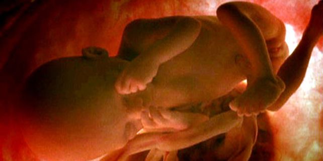Son cada vez m&aacute;s las enfermedades tratables en el seno materno