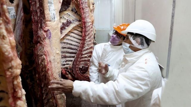 For export. Entre los complejos que mostraron una fuerte expansión se ubicó la carne bovina.