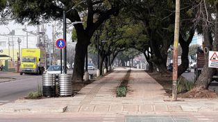 Aristóbulo del Valle: Inauguración del cantero central renovado con actividades para vecinos.