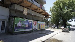 Avellaneda al 700, la constructora sacó un añoso ejemplar y cubrió con cemento la cazuela.