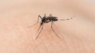 Se lleva adelante un nuevo bloqueo por casos positivos de dengue en la ciudad