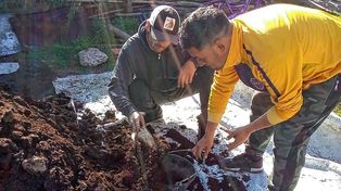 Cooperse es una cooperativa abocada a la lombricultura