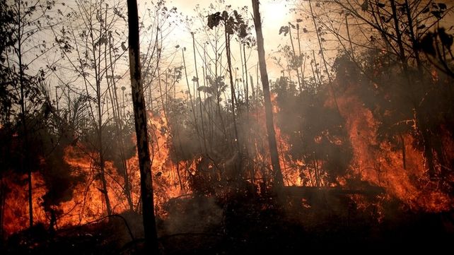 Dos brigadistas de la ciudad irán a Brasil para combatir los incendios