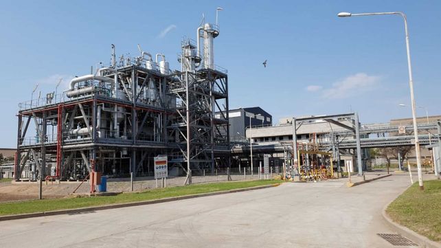 La producción de biodiesel tiene dos segmentos: el de las grandes empresas integradas y el de las pymes.