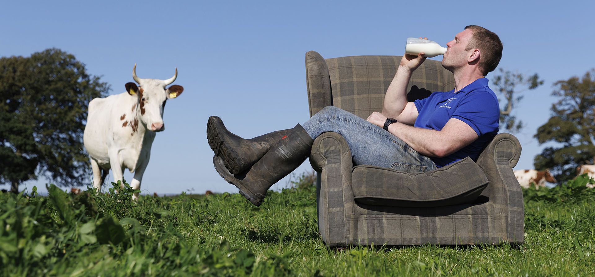 Foto publicada por la empresa, que muestra a Bryce Cunningham, dueño de la Mossgiel Organic Farm cerca de Mauchline, tomando leche con algunas de sus vacas en la Mossgiel Organic Farm, en Mauchline, Escocia. (Lechería orgánica Mossgiel vía AP) Foto publicada por la empresa, que muestra a Bryce Cunningham, dueño de la Mossgiel Organic Farm cerca de Mauchline, tomando leche con algunas de sus vacas en la Mossgiel Organic Farm, en Mauchline, Escocia. (Lechería orgánica Mossgiel vía AP)