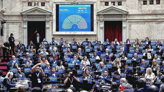 Diputados no lograron los dos tercios contra el veto de Milei.