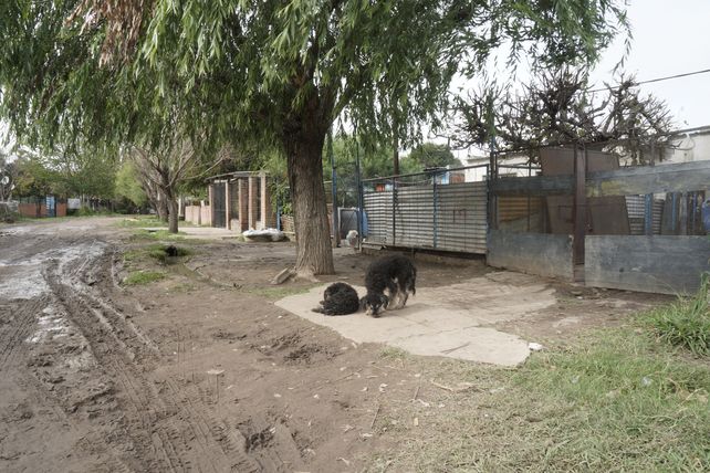 José Ingenieros al 100 bis