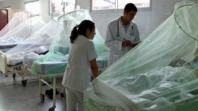 Los síntomas a tener en cuenta para diferenciar coronavirus y dengue