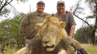 Descubren quién decapitó al león Cecil y lo escrachan por Facebook