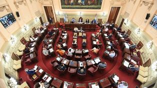 Incendios en los humedales, el uso de agrotóxicos y la contaminación en las ciudades serán temas abordados en la jornada de la Cámara de Diputados de Santa Fe.