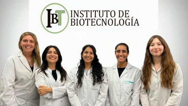 Desarrollan bioinsumos para mejorar la calidad de las pasas de uva