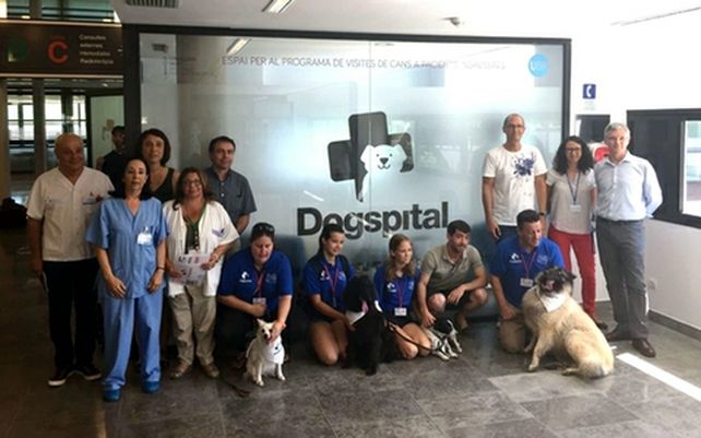 mascotas. La presentación del programa llamado Dogspital.