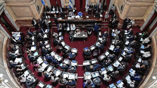 El Senado debatirá la reforma del Consejo de la Magistratura
