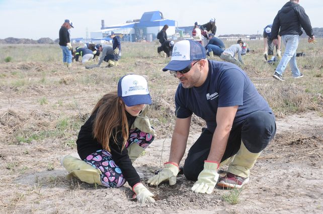 Proyecto de forestación que se realizó en el predio de la acería en Pérez.