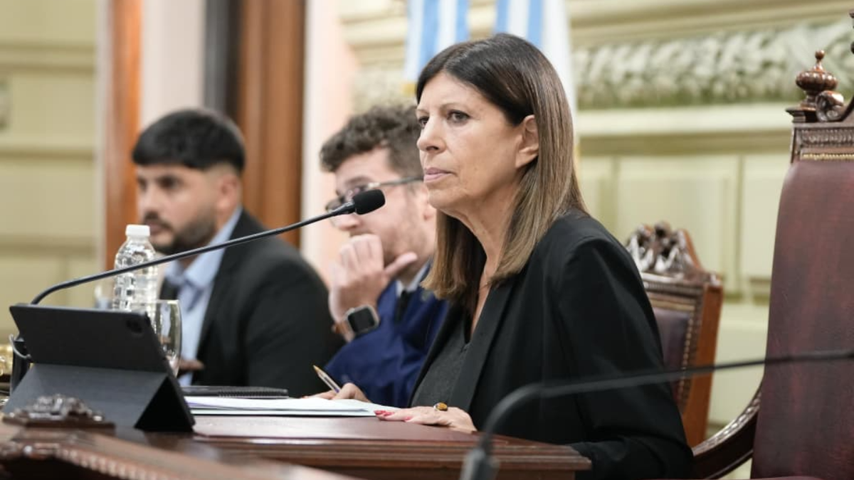 Clara García fue reelecta como presidenta de la Cámara de Diputados de ...