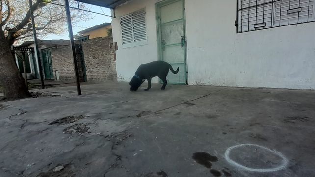 Ataque a Los Monos: asesinaron a balazos en la puerta de su casa a un nieto del Viejo Cantero