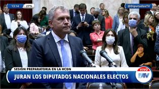 Cómo juraron los diputados nacionales entrerrianos