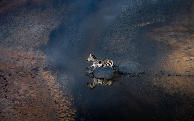 Drone Photo Awards 2021, impactantes imágenes desde las alturas