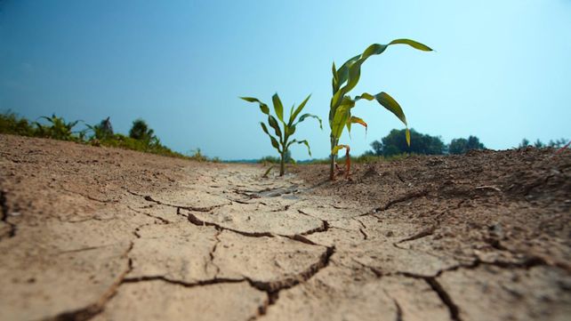 En primavera se prevén escasas lluvias y altas temperaturas y hay un 80% de probabilidad de que continúen las condiciones Niña.