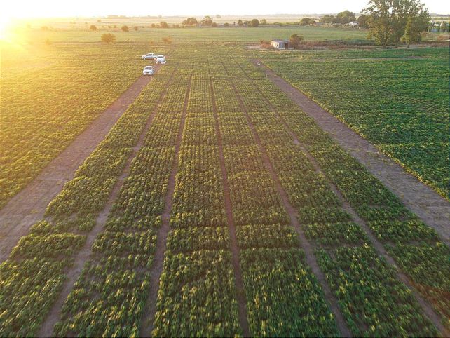 El Grupo Indecar lanza un Centro Agrotecnológico Experimental