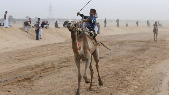 Carreras de camellos en el desierto de Egipto