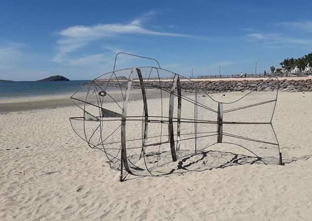Instalan peces gigantes en playas mexicanas para recolectar plástico
