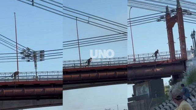 El hombre fue filmado cunado robó cables en el Puente Colgante El hombre fue filmado cunado robó cables en el Puente Colgante