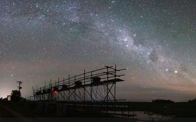 Las maravillosas imágenes que celebran la diversidad de la flora y fauna del planeta