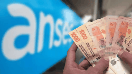 Anses: cómo queda el calendario de pagos de agosto con el feriado