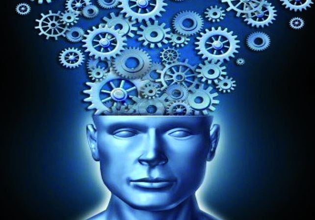 En el Centro Nacional para Enseñar a Pensar de Estados Unidos se estudia el funcionamiento del cerebro.