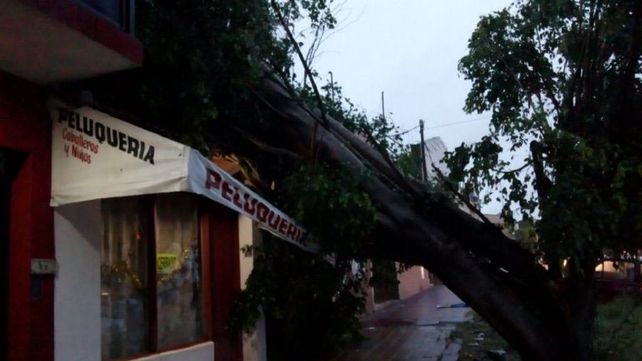 Una cola de tornado afecto al menos 10 cocheras y vehículos en barrio Paraná II