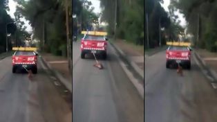 Empleados municipales arrastraron a un perro con una camioneta