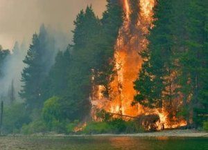 Incendios en Chubut: se esperan lluvias para toda la jornada